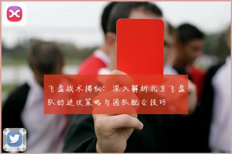 飞盘战术揭秘：深入解析北京飞盘队的进攻策略与团队配合技巧