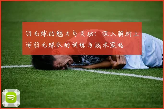 羽毛球的魅力与灵动：深入解析上海羽毛球队的训练与战术策略