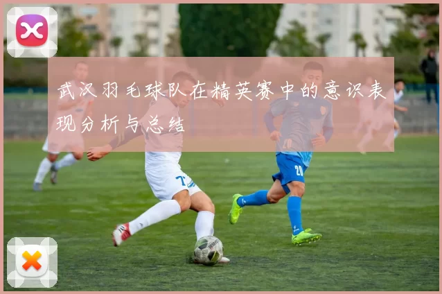 武汉羽毛球队在精英赛中的意识表现分析与总结