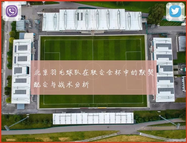 北京羽毛球队在联合会杯中的默契配合与战术分析