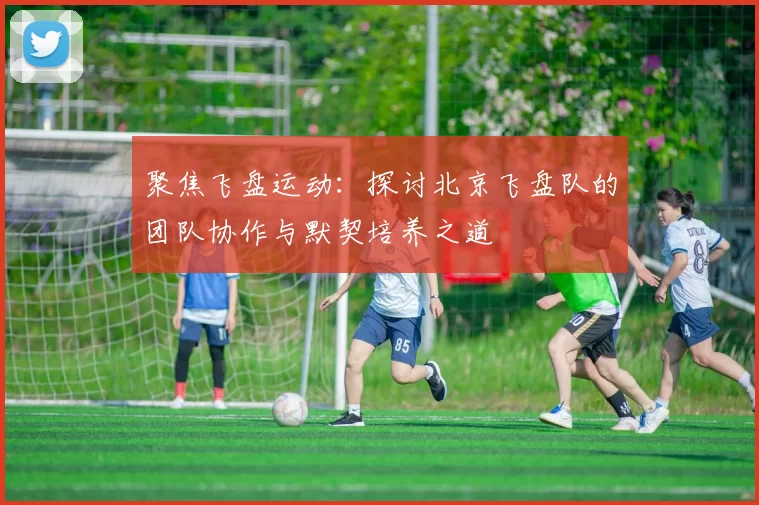 聚焦飞盘运动：探讨北京飞盘队的团队协作与默契培养之道