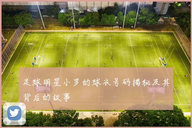 足球明星小罗的球衣号码揭秘及其背后的故事