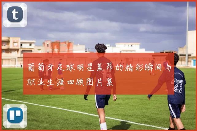 葡萄牙足球明星莱昂的精彩瞬间与职业生涯回顾图片集