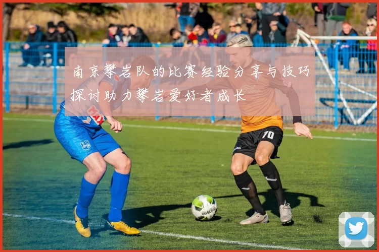 南京攀岩队的比赛经验分享与技巧探讨助力攀岩爱好者成长