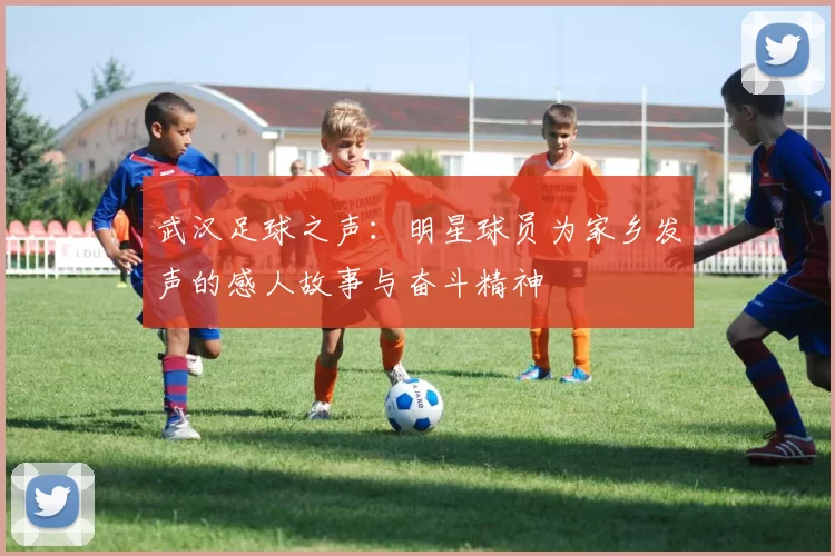武汉足球之声：明星球员为家乡发声的感人故事与奋斗精神