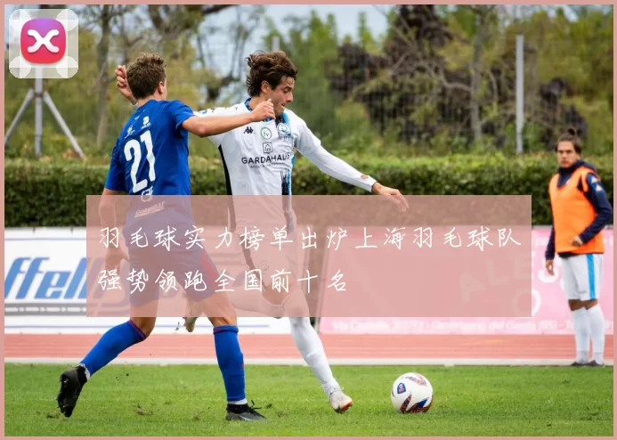羽毛球实力榜单出炉上海羽毛球队强势领跑全国前十名