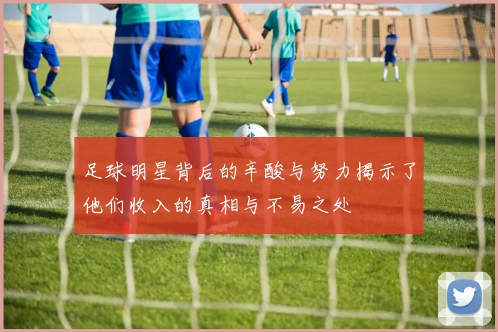 足球明星背后的辛酸与努力揭示了他们收入的真相与不易之处