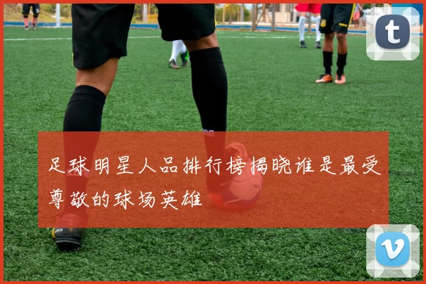 足球明星人品排行榜揭晓谁是最受尊敬的球场英雄