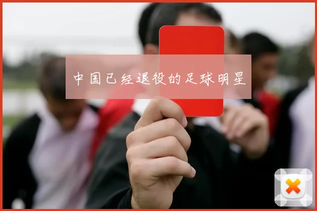 中国已经退役的足球明星