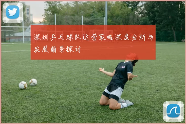 深圳乒乓球队运营策略深度分析与发展前景探讨