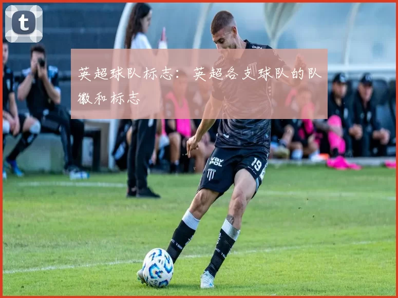 英超球队标志：英超各支球队的队徽和标志