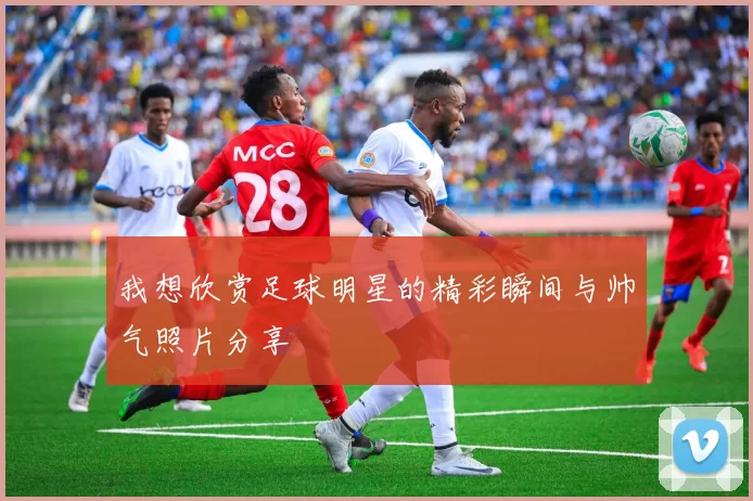 我想欣赏足球明星的精彩瞬间与帅气照片分享