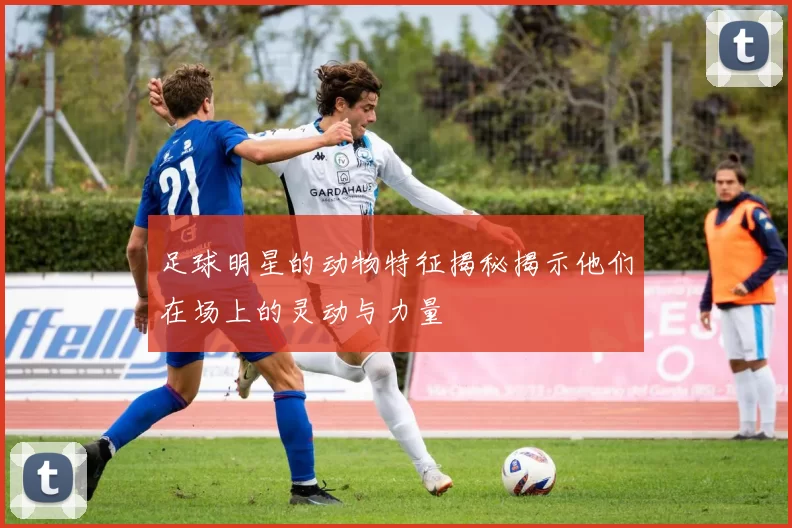 足球明星的动物特征揭秘揭示他们在场上的灵动与力量