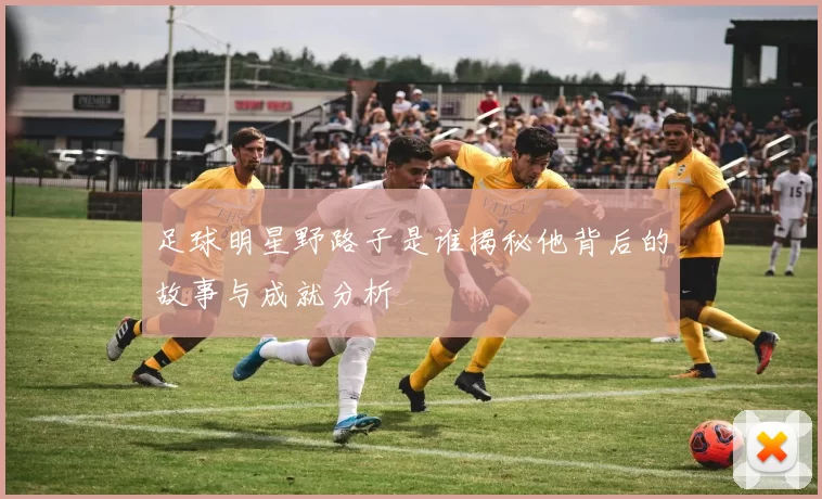 足球明星野路子是谁揭秘他背后的故事与成就分析