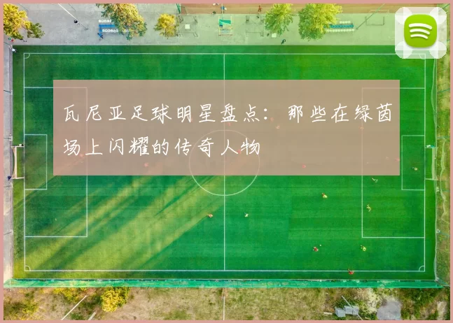 瓦尼亚足球明星盘点：那些在绿茵场上闪耀的传奇人物