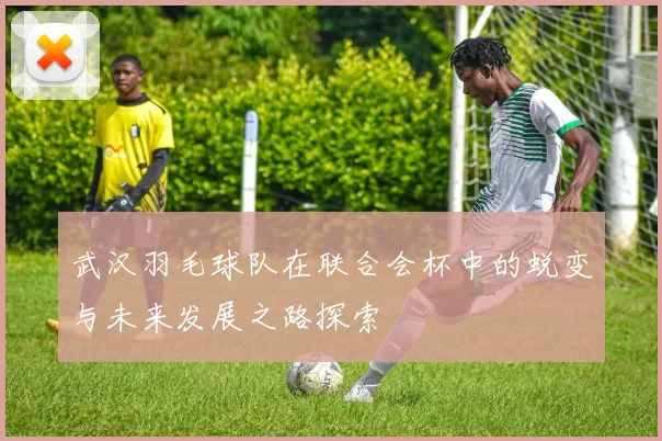武汉羽毛球队在联合会杯中的蜕变与未来发展之路探索