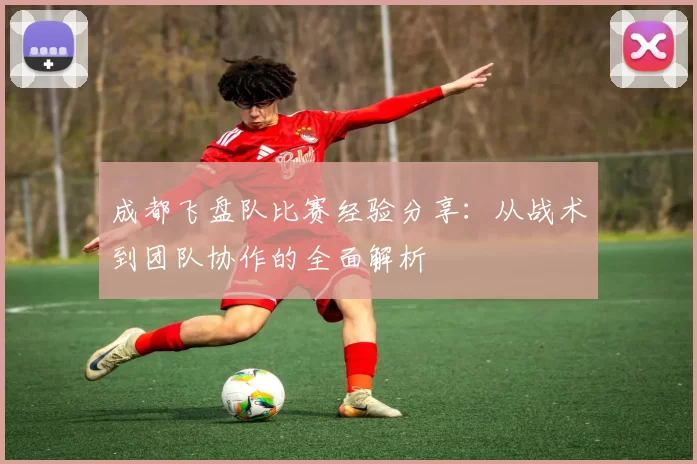 成都飞盘队比赛经验分享：从战术到团队协作的全面解析