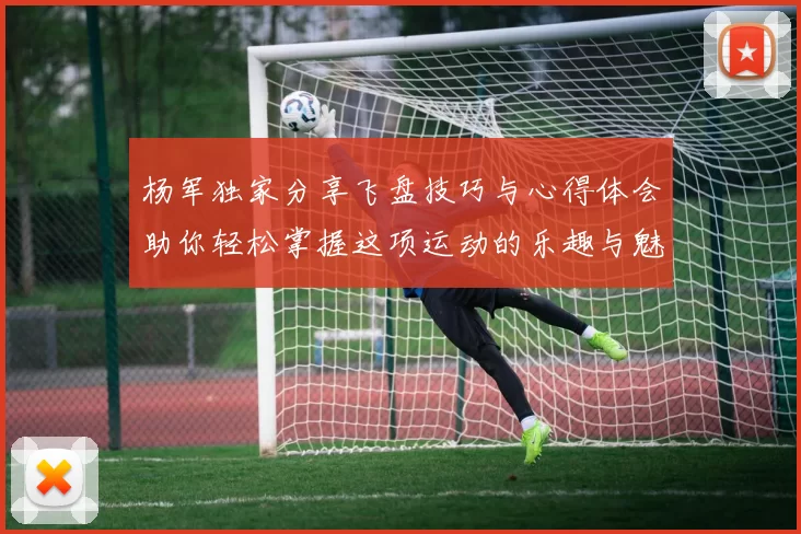 杨军独家分享飞盘技巧与心得体会助你轻松掌握这项运动的乐趣与魅力