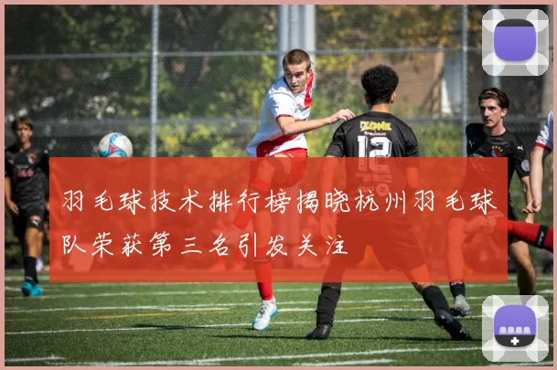羽毛球技术排行榜揭晓杭州羽毛球队荣获第三名引发关注