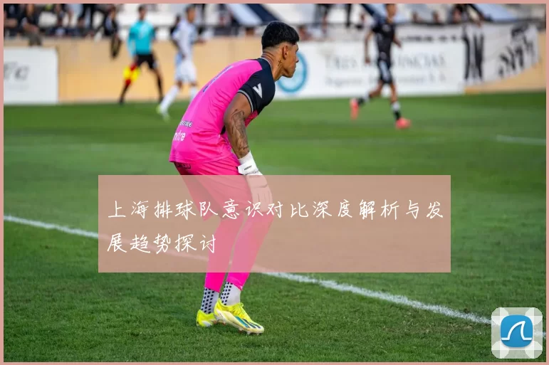 上海排球队意识对比深度解析与发展趋势探讨