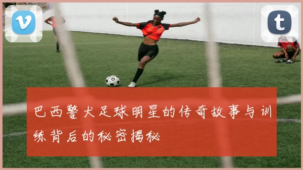 巴西警犬足球明星的传奇故事与训练背后的秘密揭秘