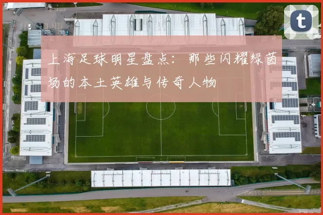 上海足球明星盘点：那些闪耀绿茵场的本土英雄与传奇人物